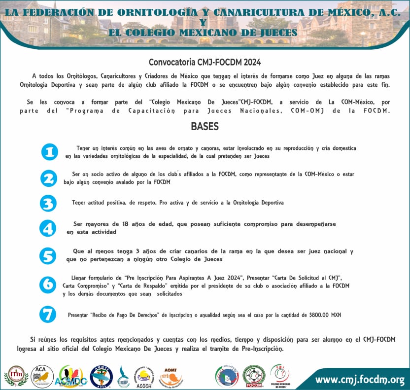 CMJ-FOCDM 2024